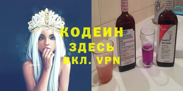 шишки Дмитриев