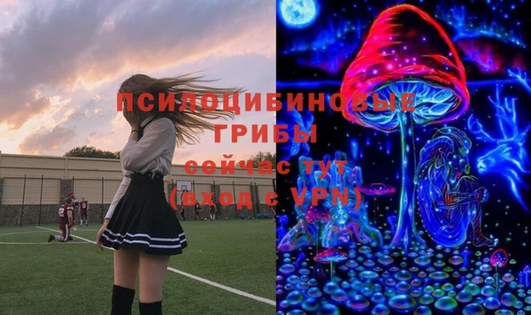 дурь Няндома