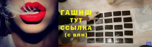 дурь Няндома