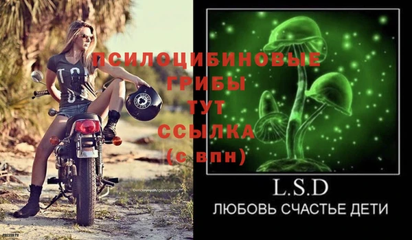 молекула духа Дмитровск