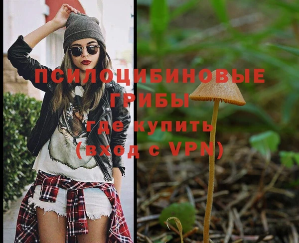 МДМА Яровое