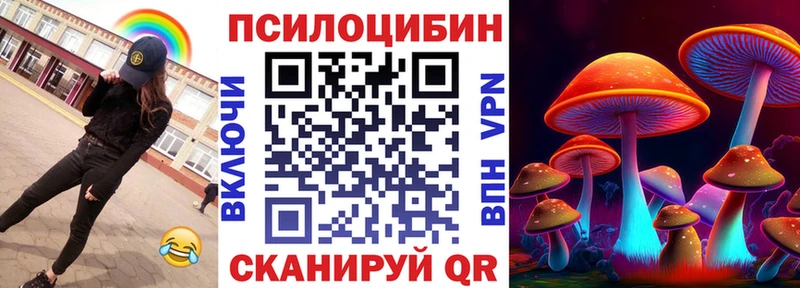 OMG ССЫЛКА  Пересвет  Псилоцибиновые грибы прущие грибы 